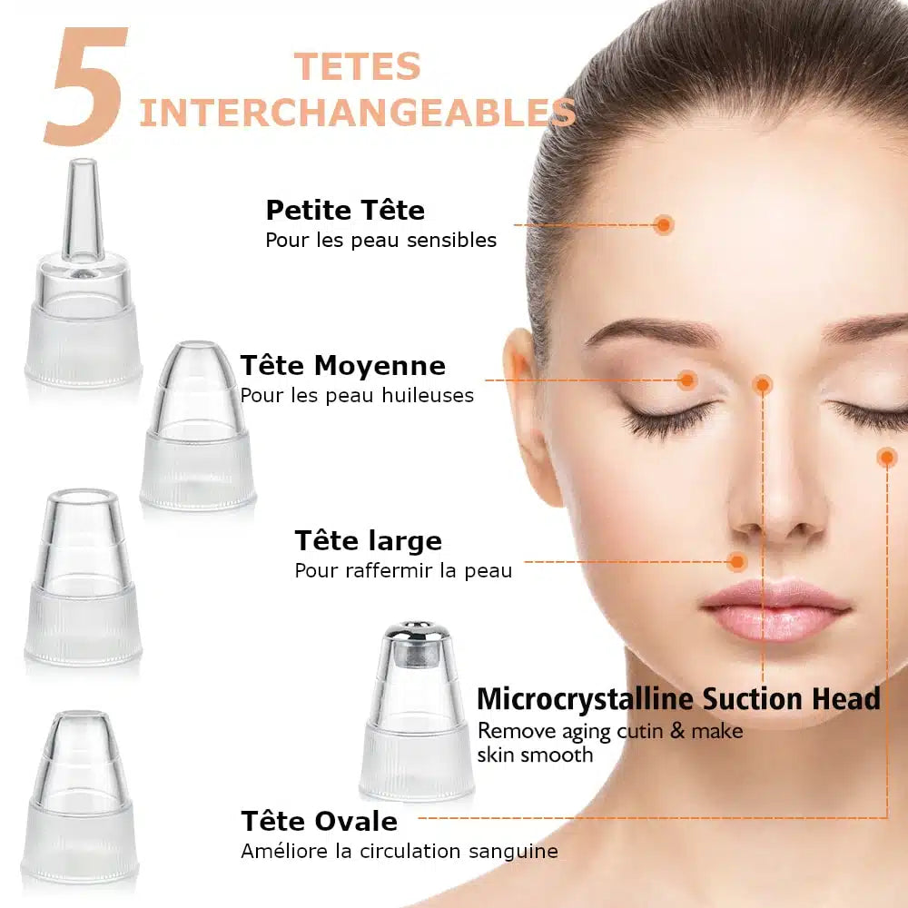 Pure Skin secret- Extracteur de points noirs- Purificateur Professionnel